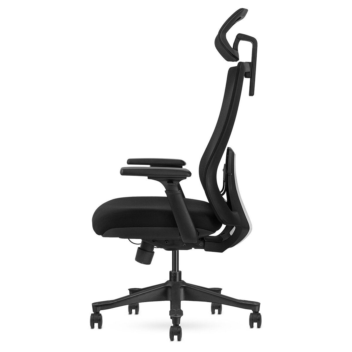 Lifespan Fitness DM9 Ergonomic Mesh High Back Office Chair - Adjustable Lumbar, 3D Armrests - LFOC-DM9BK-1