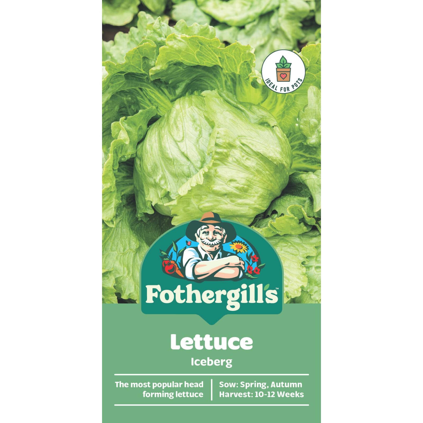 Mr Fothergill's Iceberg Lettuce Seeds Crisp Head-Forming Variety