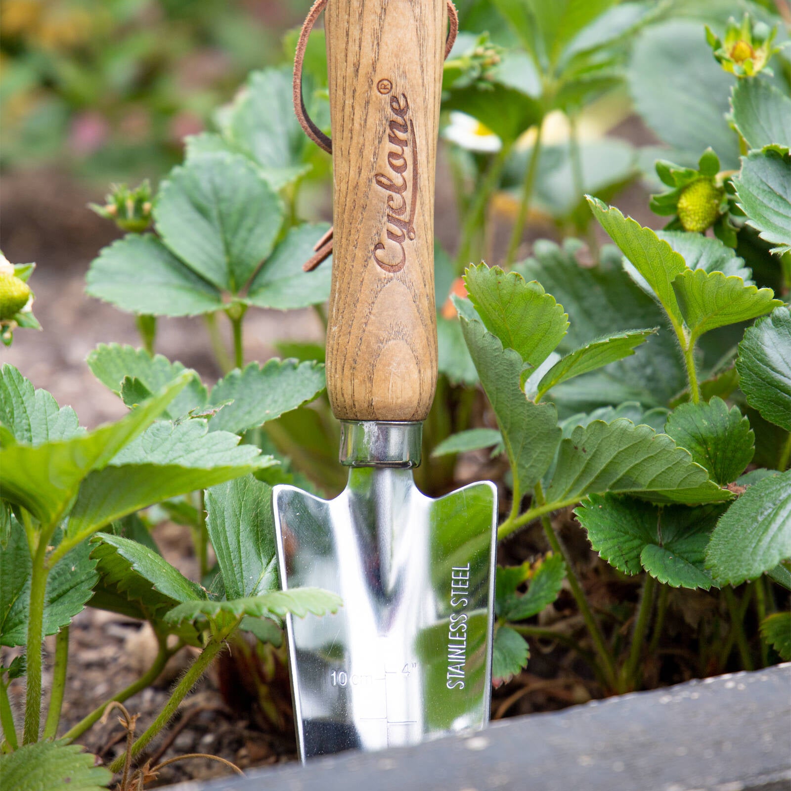 Cyclone Stainless Steel Bulb Trowel with 145mm Timber Handle