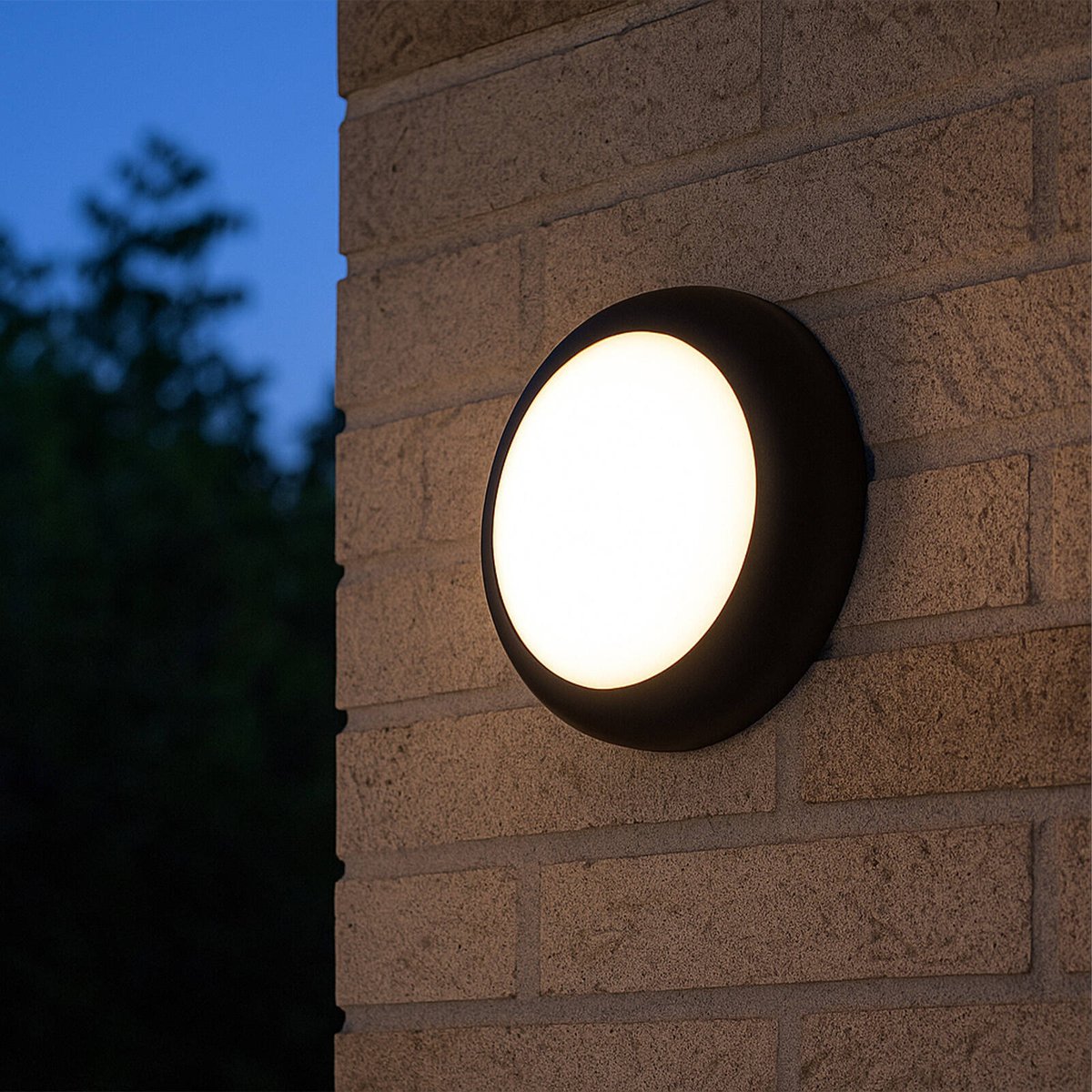 Arlec 14W 240V Black CCT LED Dorset Round Bunker Light, Hardwired Outdoor ABL105BK