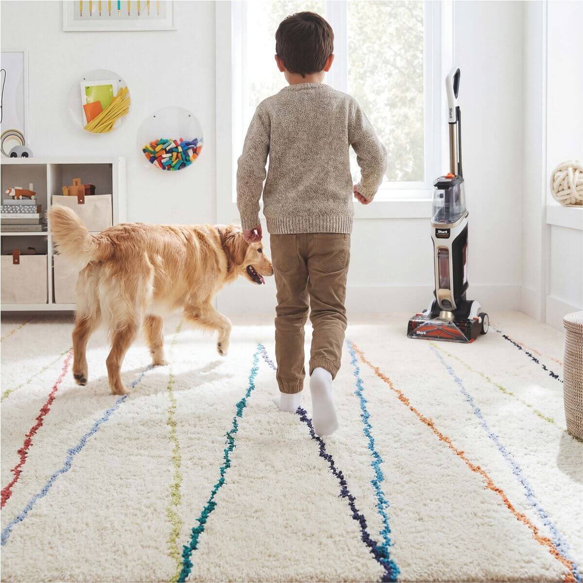 Shark CarpetForce Upright Carpet Cleaner - HairPro Technology, Deep Clean and Express Clean - EX500ANZ