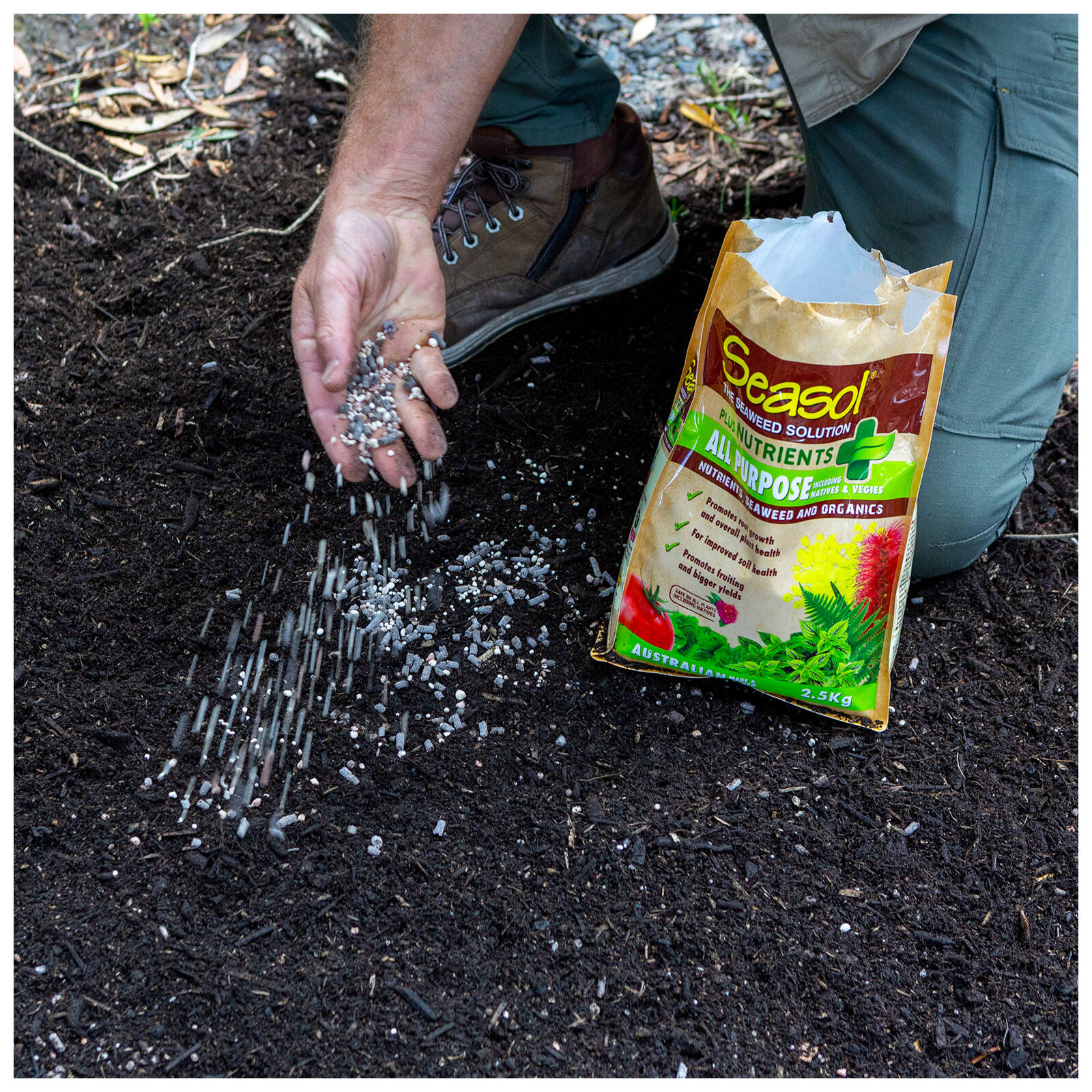 Seasol Plus Nutrients All Purpose 2.5kg Time-Release Plant Fertiliser