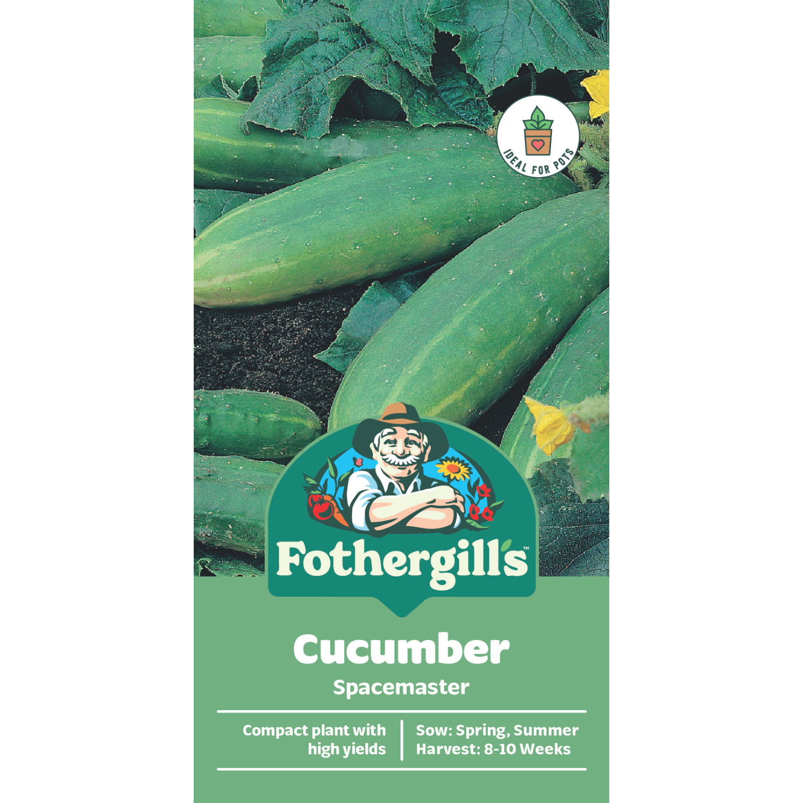 Mr Fothergill's Spacemaster Cucumber Seeds - Compact Container Variety