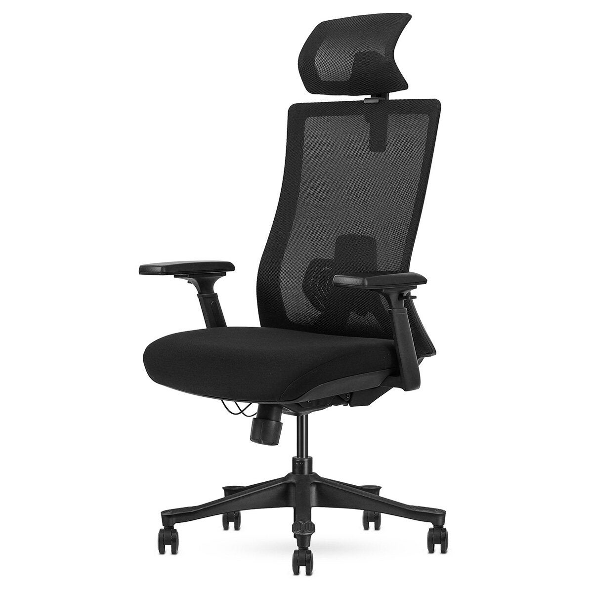 Lifespan Fitness DM9 Ergonomic Mesh High Back Office Chair - Adjustable Lumbar, 3D Armrests - LFOC-DM9BK-1