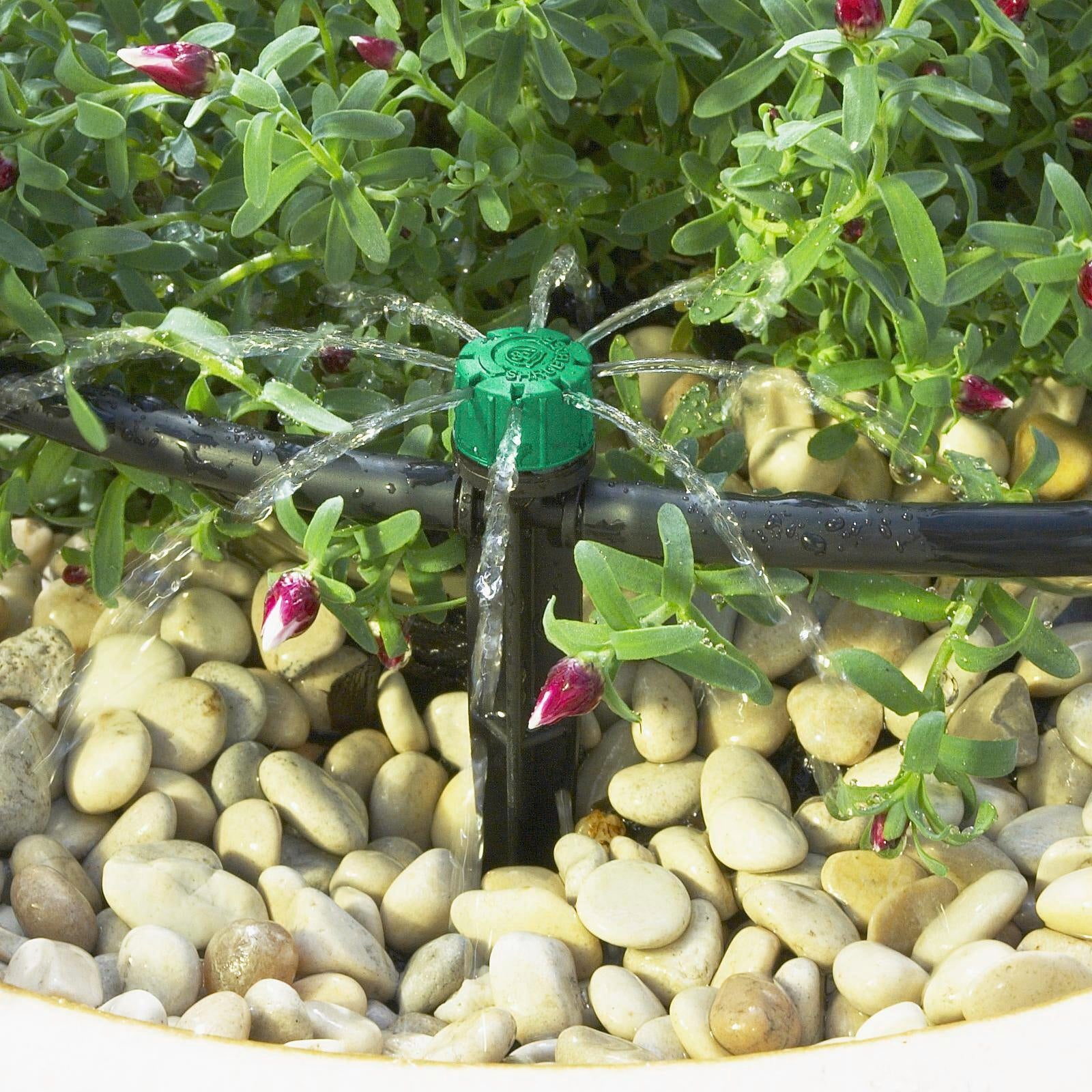 Pope In Line Trickler 4mm Polypropylene Adjustable Flow