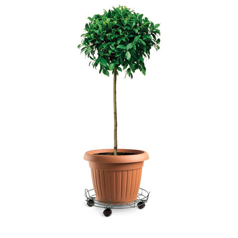 Eden Pot Trolley - 33cm - Heavy Duty - Indoor/Outdoor Use - SuperSaverAU - view 2