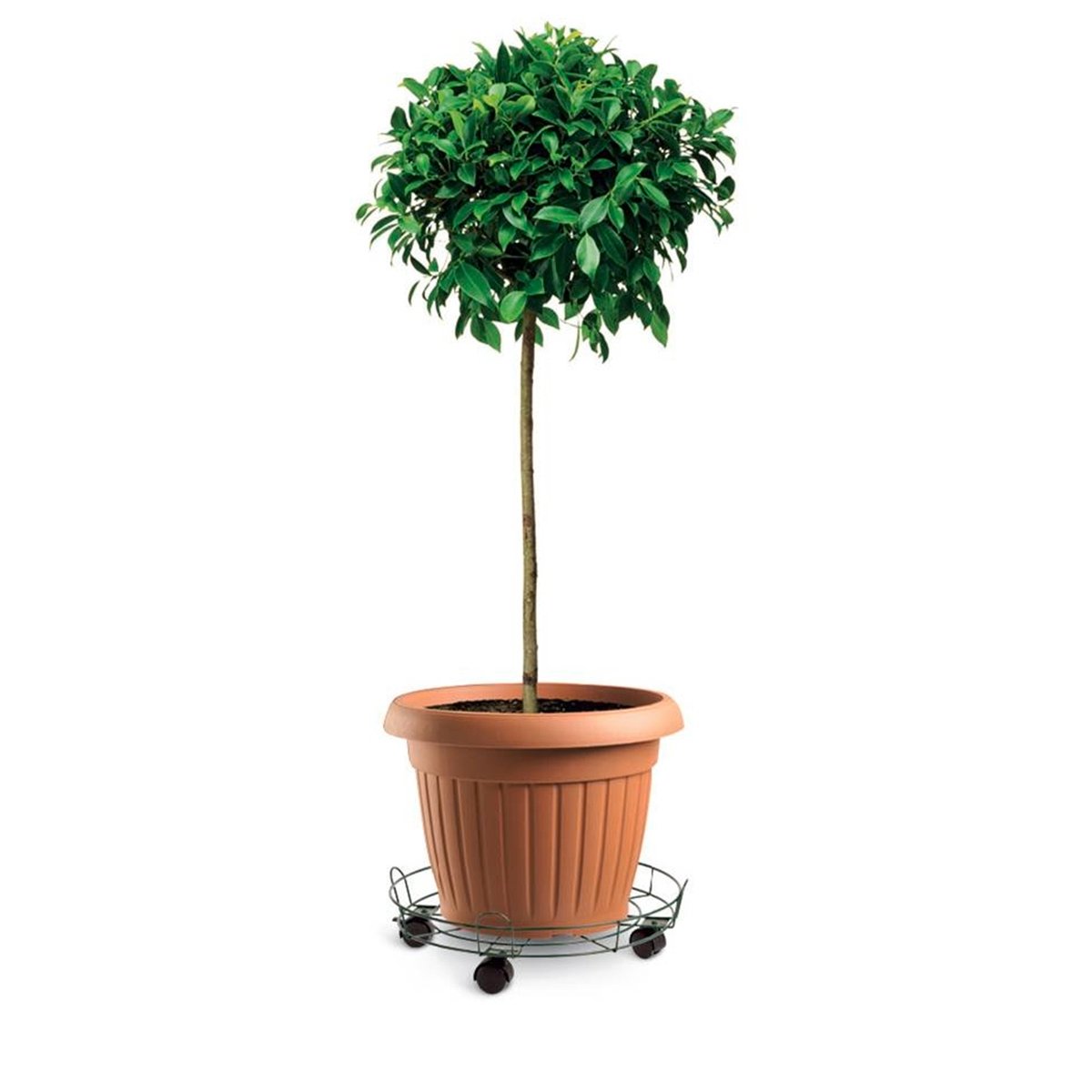 Eden Pot Trolley - 33cm - Heavy Duty - Indoor/Outdoor Use - SuperSaverAU - view 2
