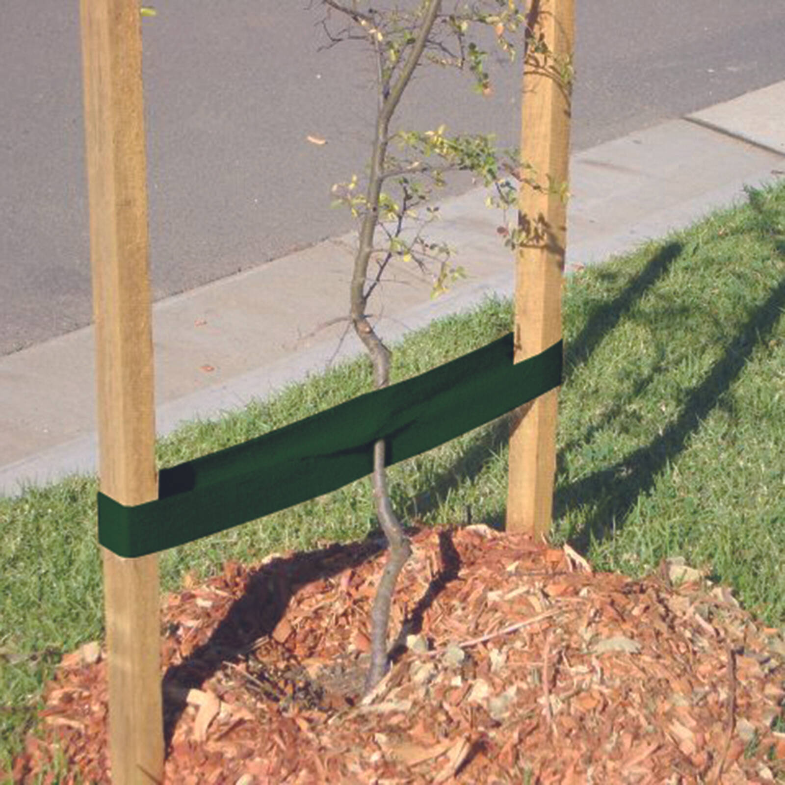 Jack 60m Green Poly-Woven Garden Shrub Tie