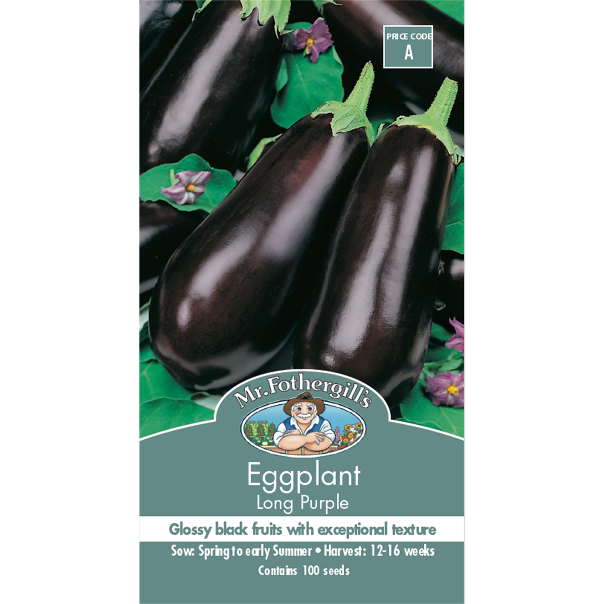 Mr Fothergill Long Purple Eggplant Seeds 16 Weeks Rich Flavor - SuperSaverAU - view 1