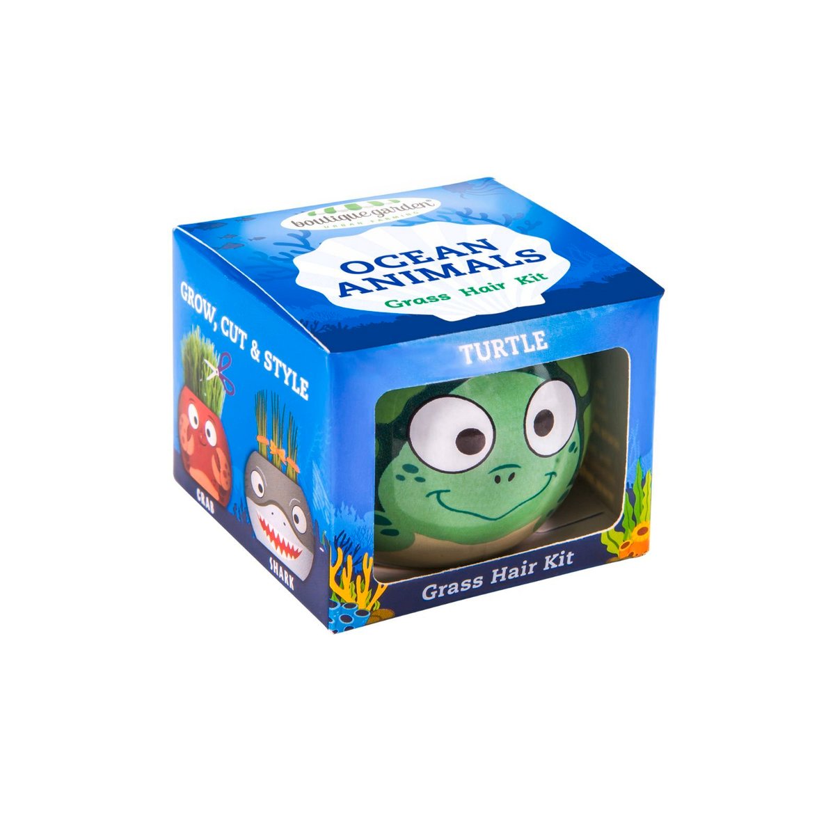 Mr Fothergill's Grass Hair Turtle Growing Kit, Fun Kids' Ryegrass Kit