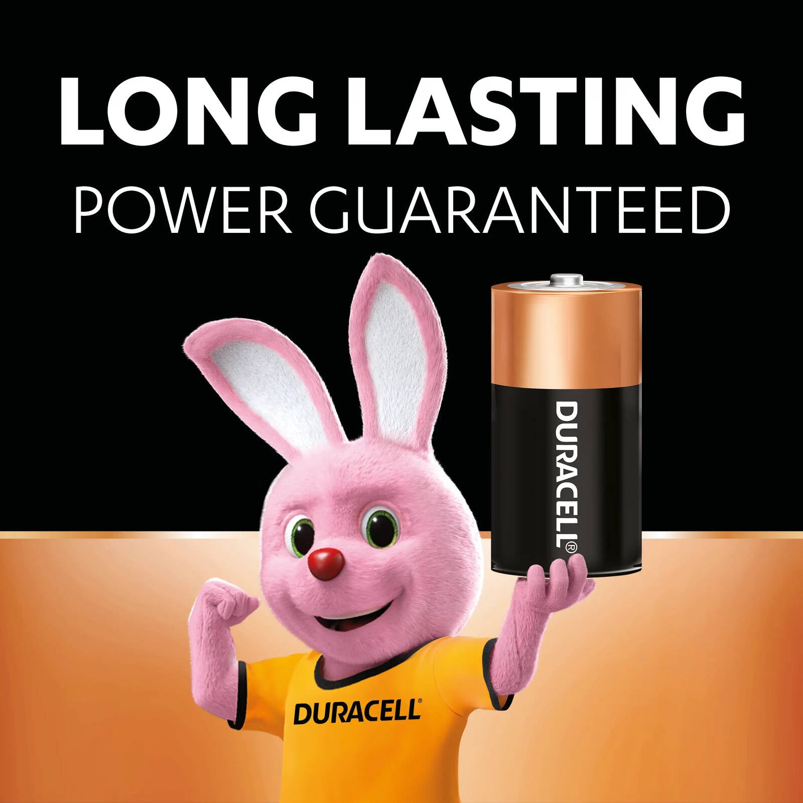Duracell Coppertop C 1.5V Alkaline Battery 10 Pack