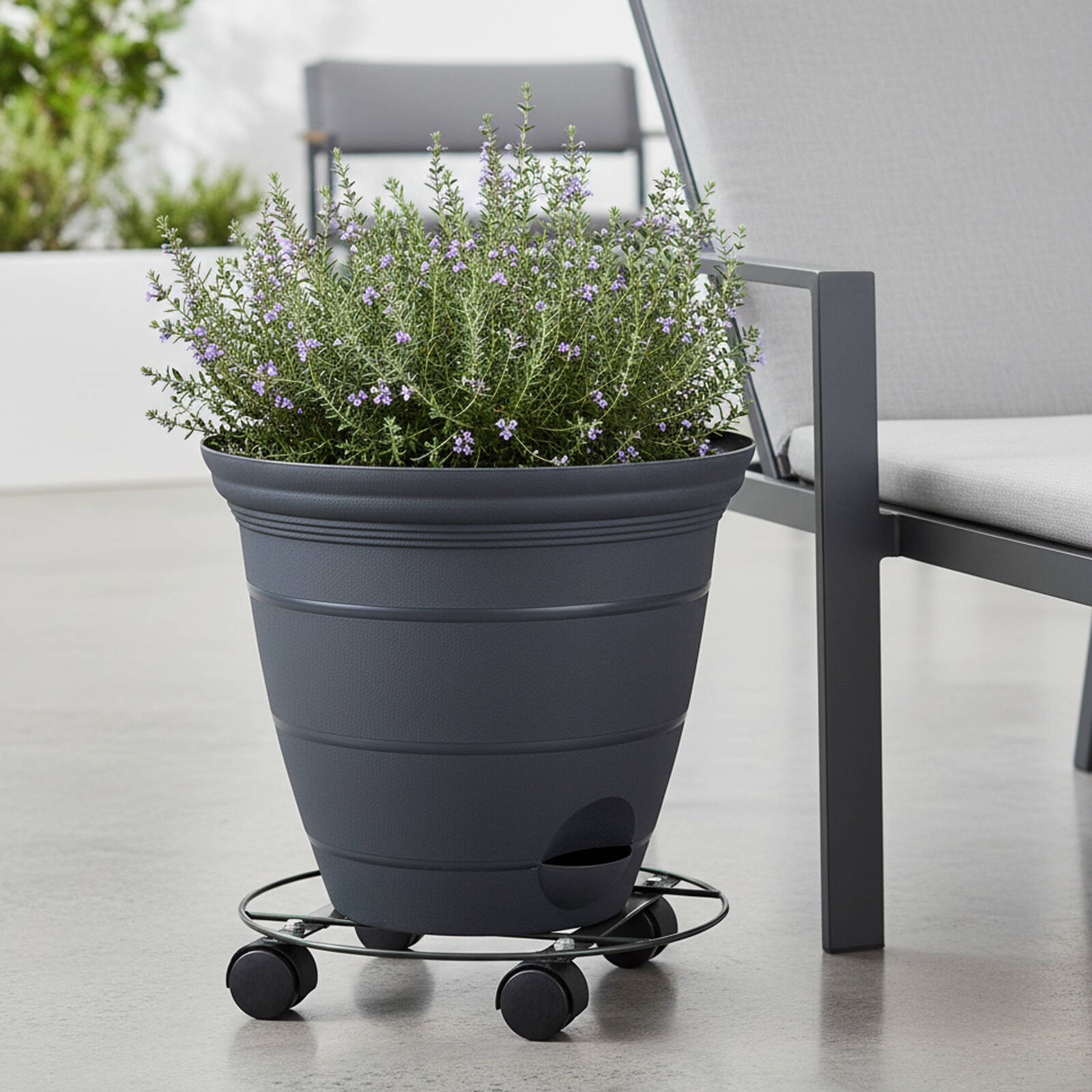 Eden 35cm Heavy Duty Round Pot Plant Trolley Black 60kg
