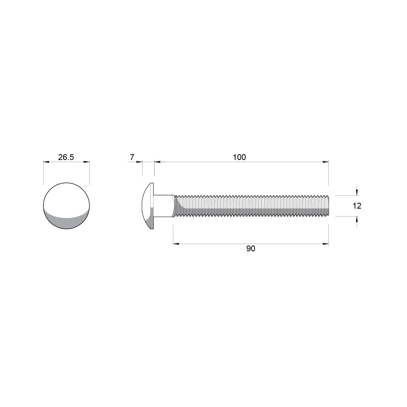 Zenith M12 x 100mm Stainless Steel 304 Cup Head Bolt and Nut