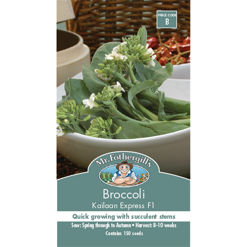 Mr Fothergill's Kailaan Broccoli Vegetable Seeds