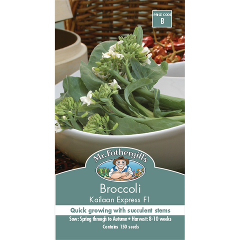 Mr Fothergill's Kailaan Broccoli Seeds - 10 Weeks - Edible Benefits - SuperSaverAU - view 1