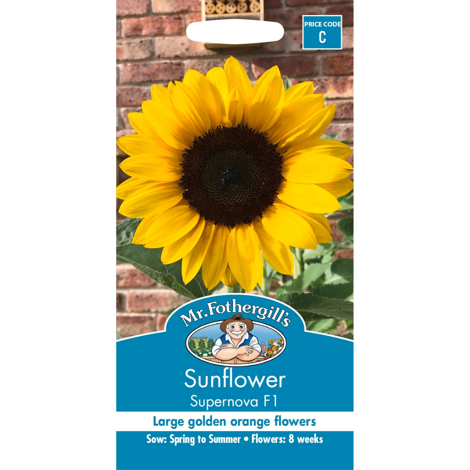 Mr Fothergill's Sunflower Supernova F1 Flower Seed