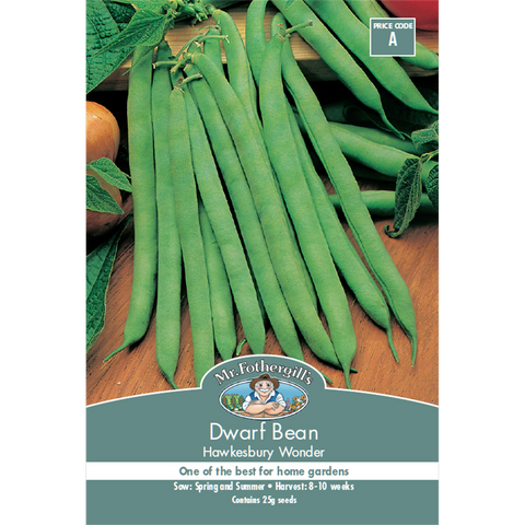 Mr Fothergill Dwarf Bean Seeds 10 Weeks Green High Yield - SuperSaverAU - view 1