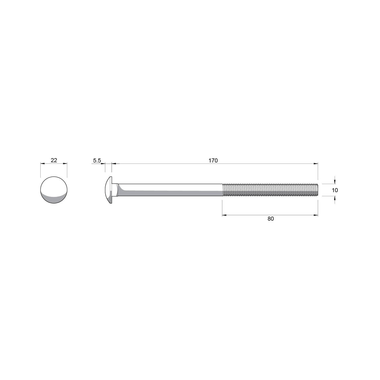 Zenith Cup Head Bolt - M10 x 170mm - Hot Dipped Galvanised - Rust Resistant