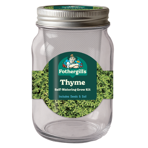 Mr Fothergill's Thyme Self Watering Mason Jar Grow Kit 90 x 172mm