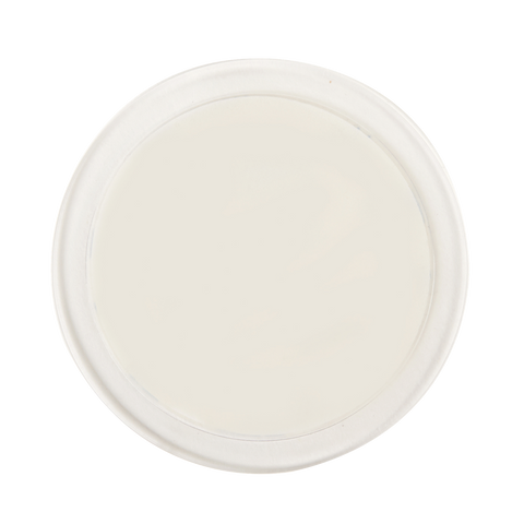 Naleon Ultimate Mounting Disc - Clear Plastic for Porous Surfaces