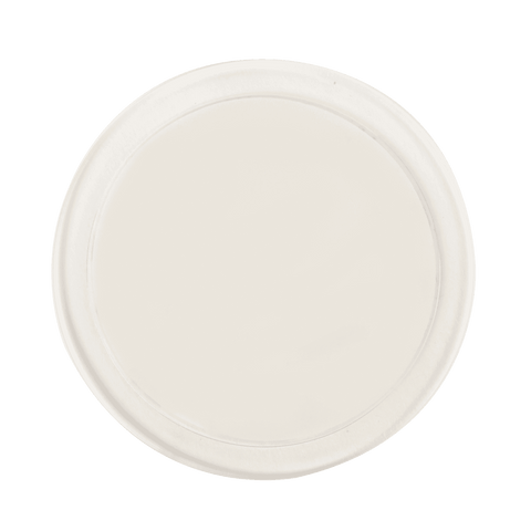 Naleon Ultimate Mounting Disc - Clear Plastic for Porous Surfaces