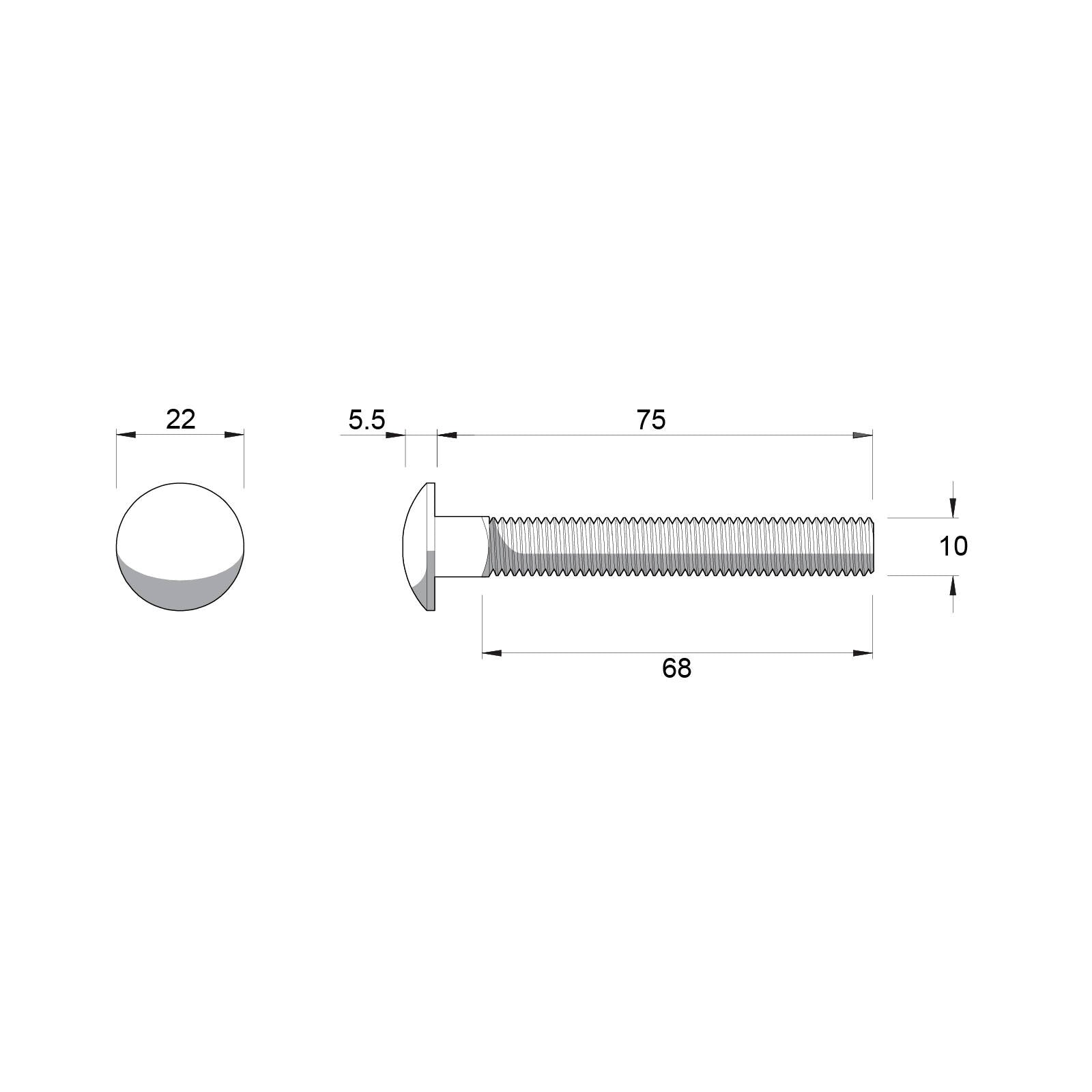 Zenith M10 x 75mm Stainless Steel 304 Cup Head Bolt and Nut