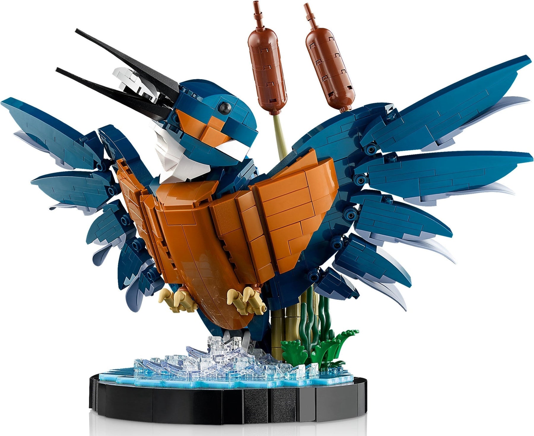 LEGO 10331 Icons Kingfisher Bird Display - SuperSaverAU - view 3