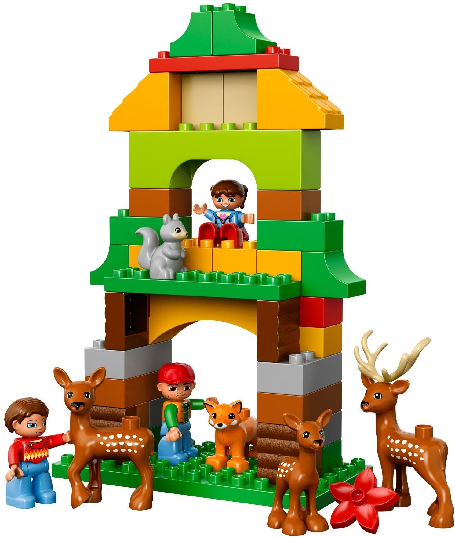 LEGO 10584 Forest: Park with Animals & Family Fun - SuperSaverAU - view 2