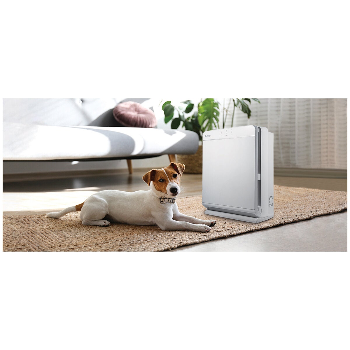 Mitsubishi Electric Air Purifier - HEPA, Carbon and Platinum Catalyst Filters, 60m² Coverage - MA-E85R-A