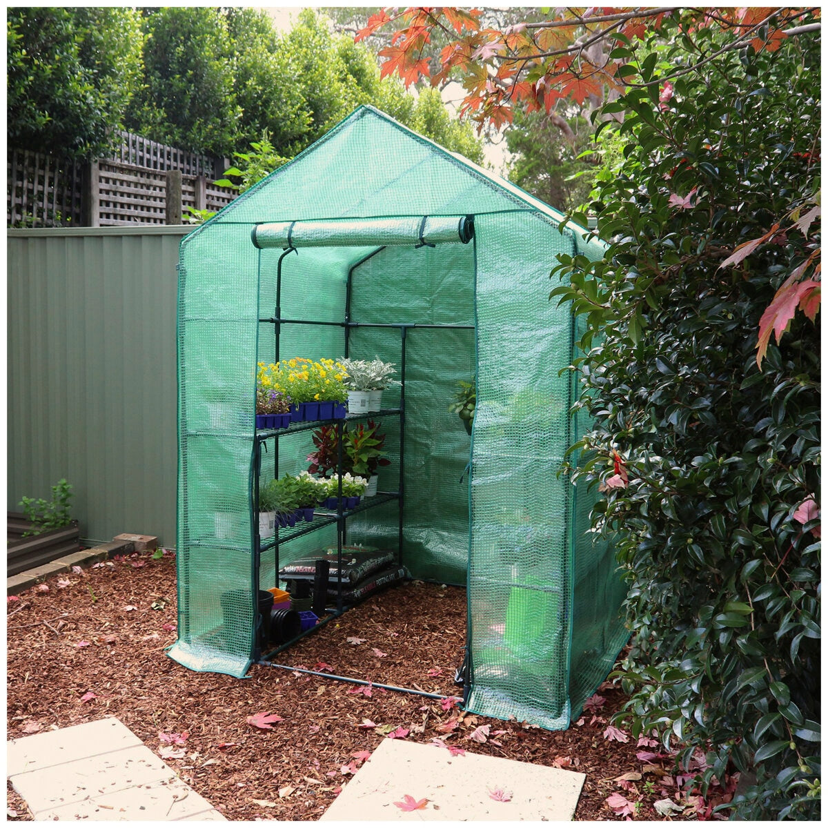 Greenlife Large Walk-in Greenhouse Twin Pack With PE Cover 195 x 143 x 143cm - SuperSaverAU - view 3