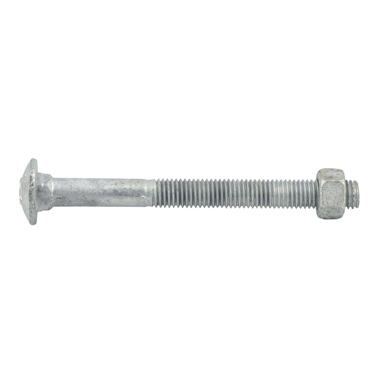 Zenith Hot Dip Galvanised M12 x 100mm Cup Head Bolts & Nuts 12 Pack - SuperSaverAU - view 2