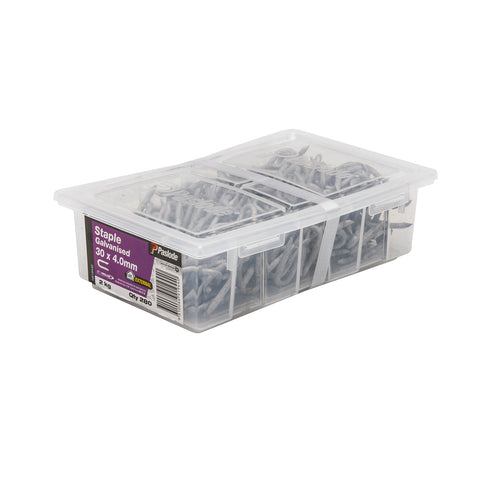 Paslode 30 x 4.0mm Galvanised Staple Nails - 280 Pack, 2kg, Mesh & Cloth