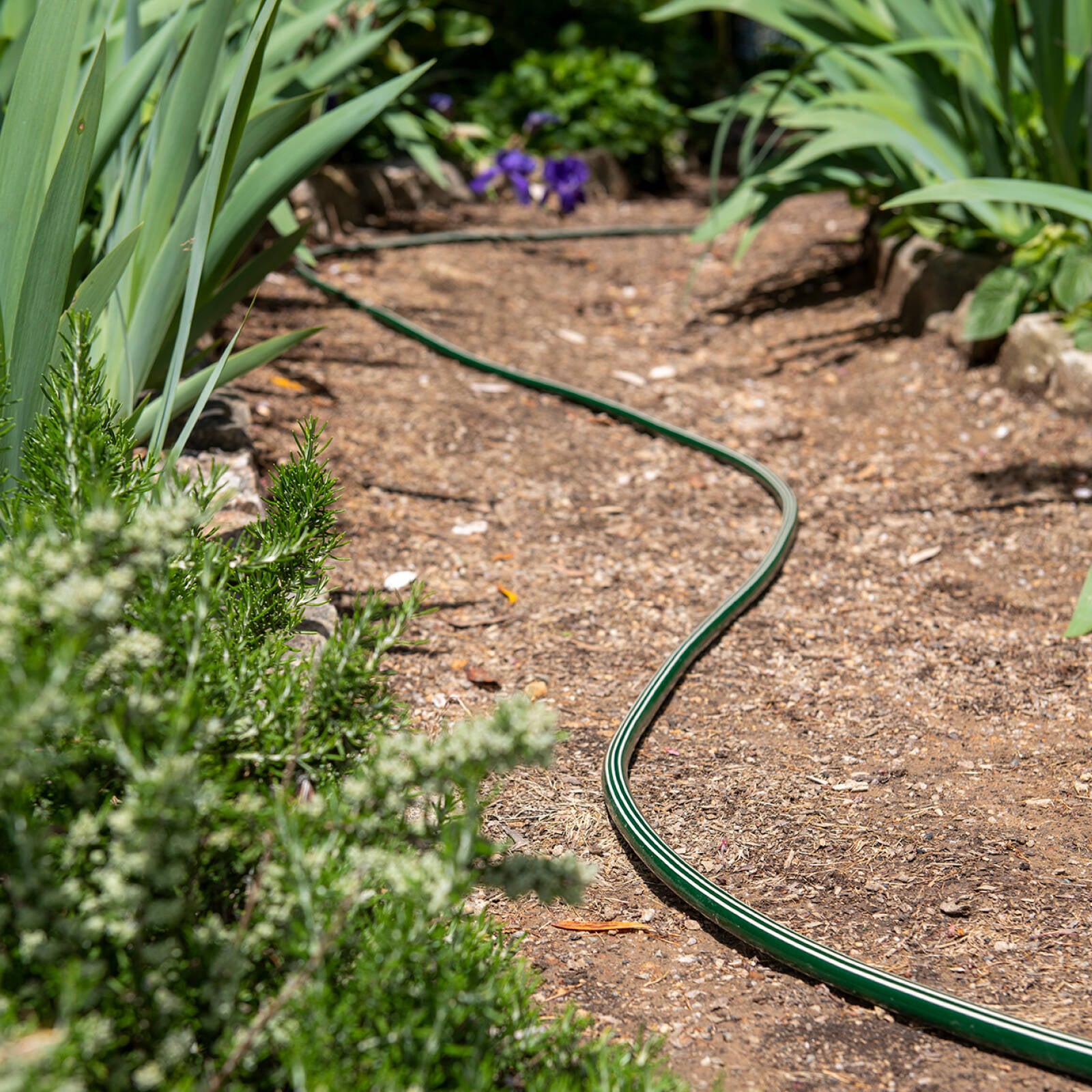 Pope 12mm x 5m Green PVC Legacy Unfitted Garden Hose UV Resistant 1200kPa