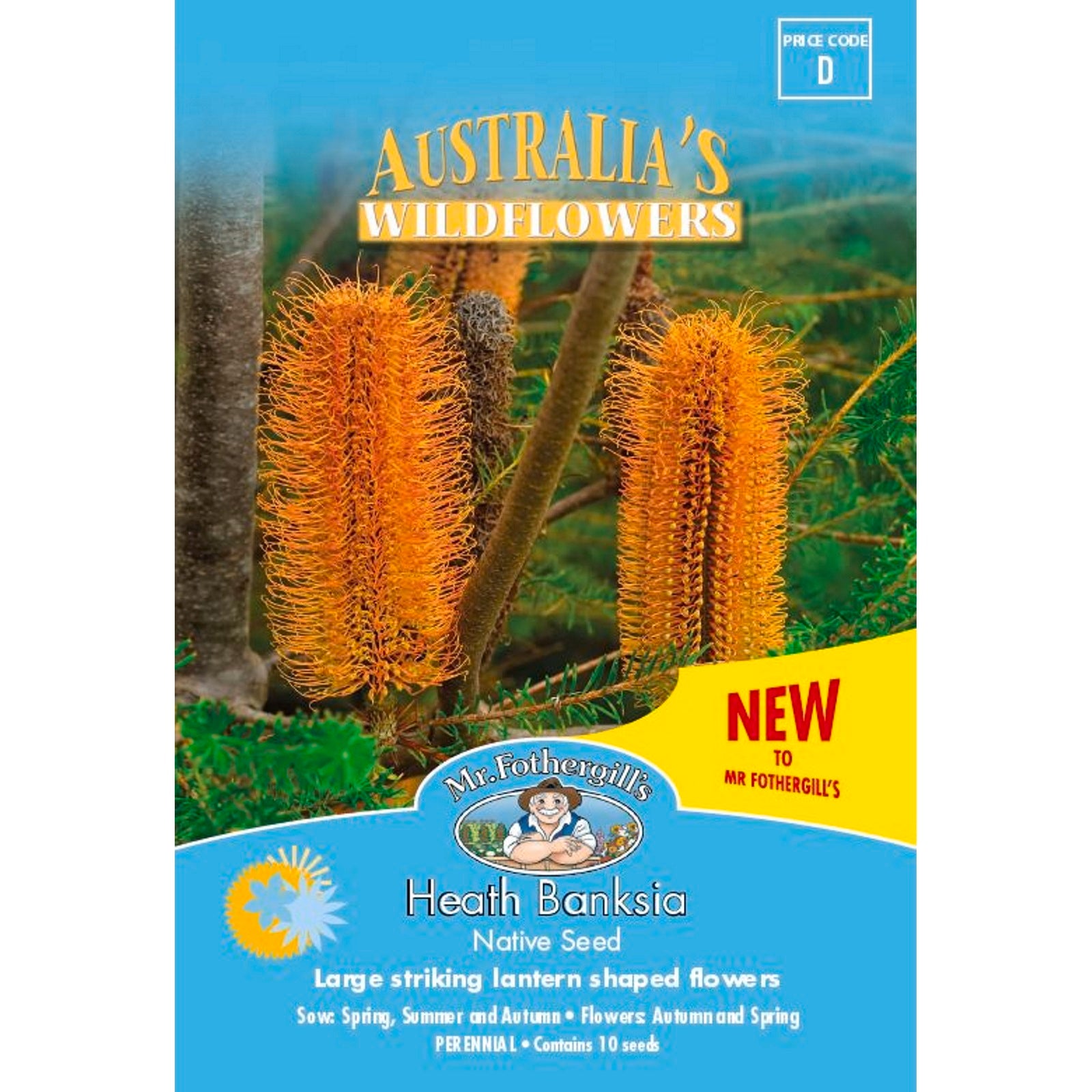 Mr Fothergill's Heath Banksia Wildflower Seeds Part Shade