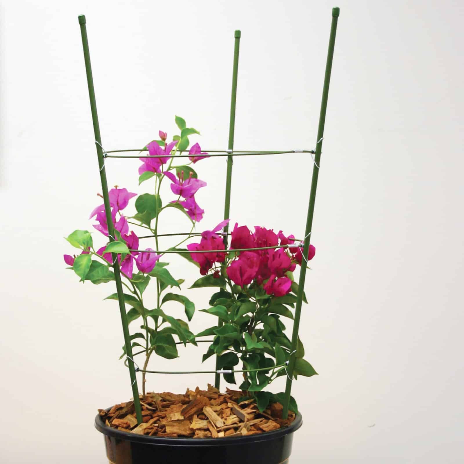 Jack 750mm 3 Ring Green Steel Flower Frame