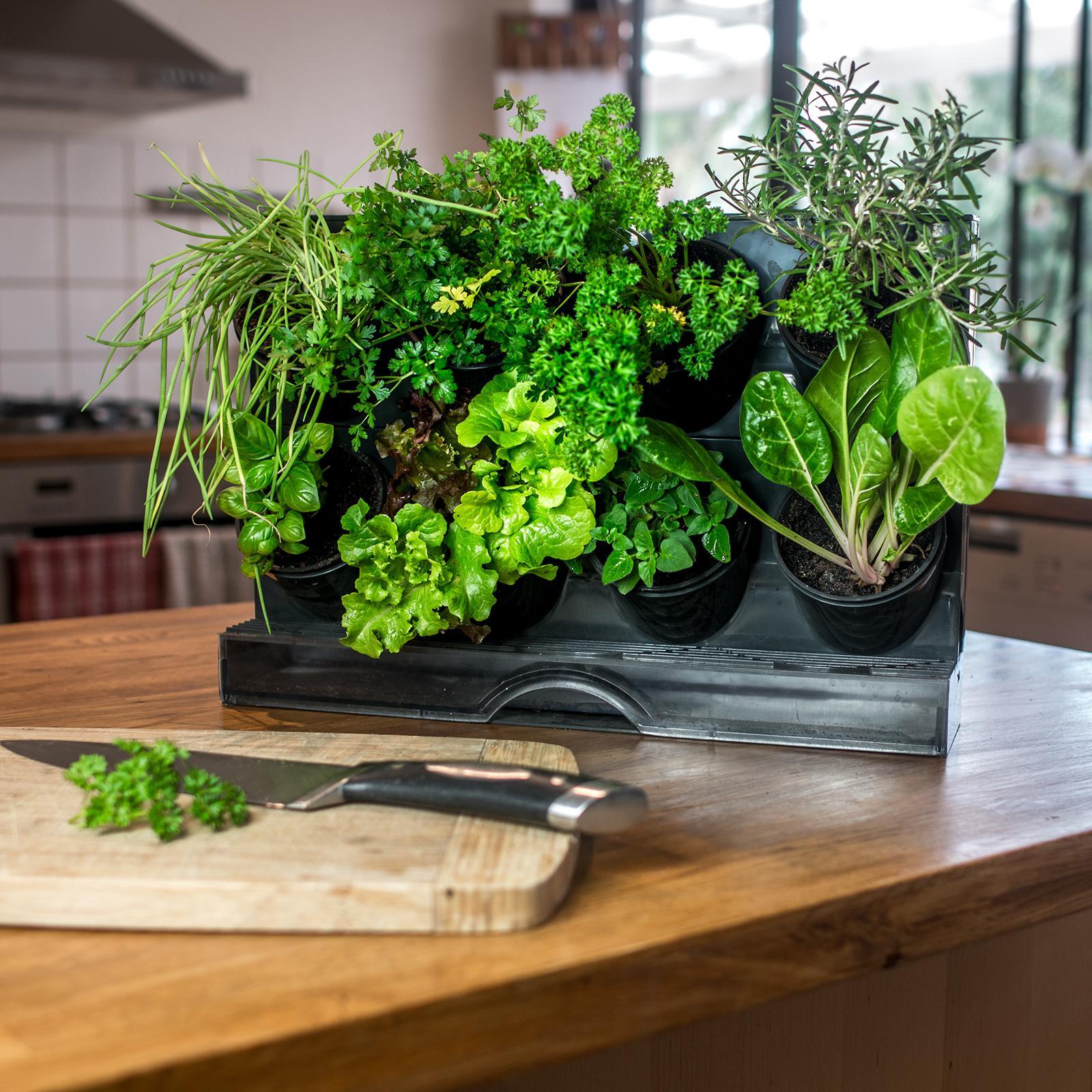 Holman Benchtop Greenwall Vertical Garden with Watering System GW1008