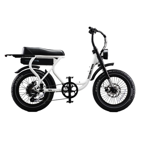 Flight Risk FR303 e-bike - Tektro hydraulic disc brakes, front suspension - White - FR-303WHITE