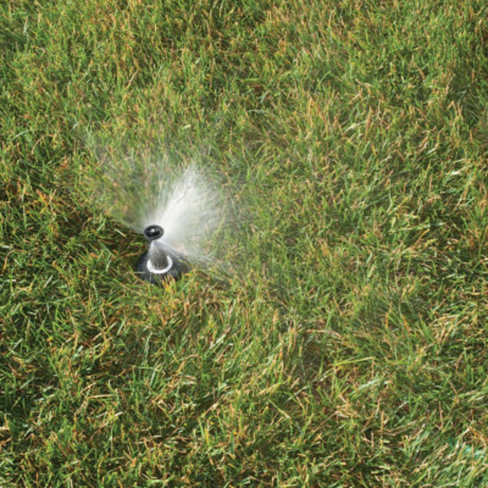 Rain Bird 50mm 2in Dual Spray Quarter Pattern Pop-Up Spray Head A18663