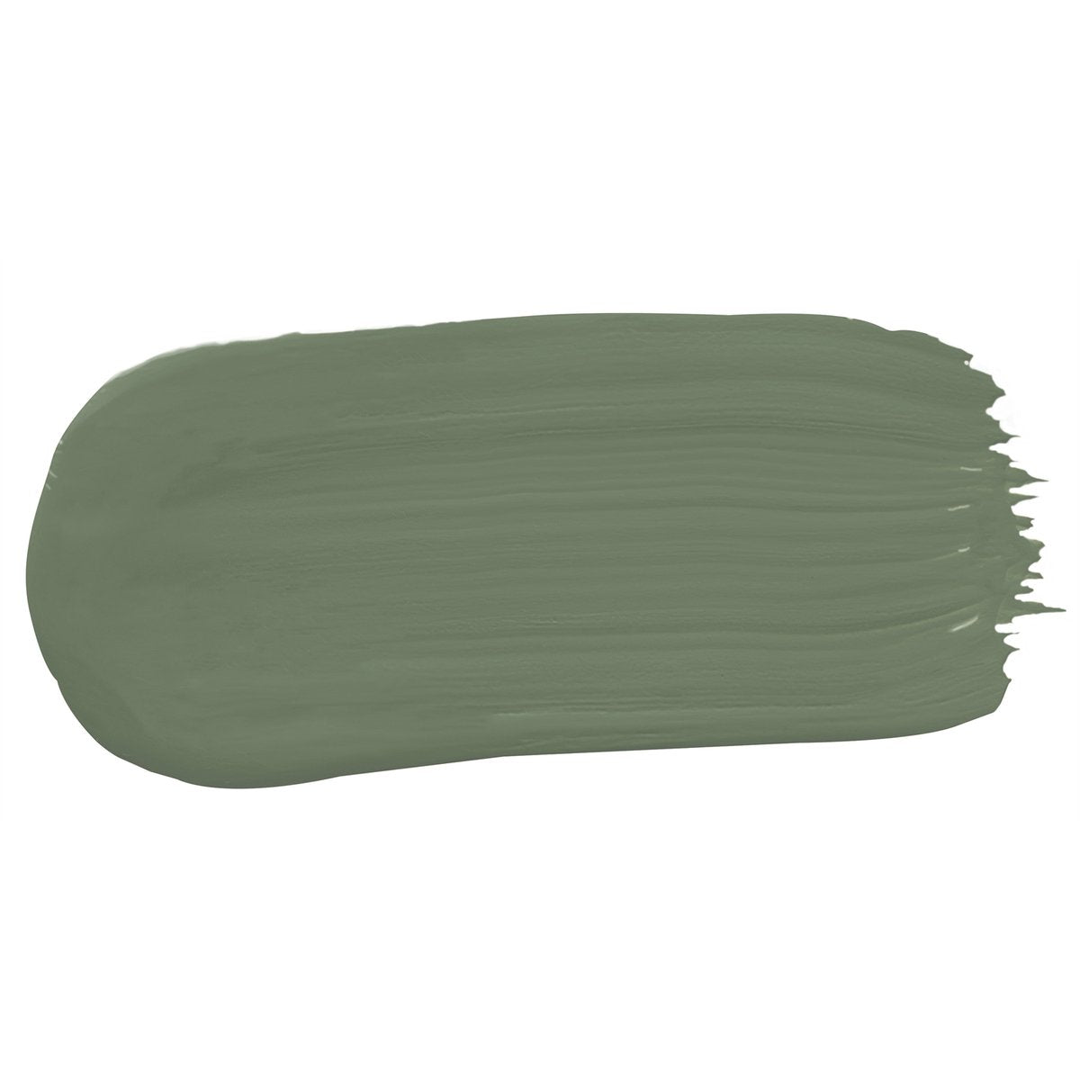 Porter's 100ml Bayleaf Eggshell Broadwall Washable Paint Sample