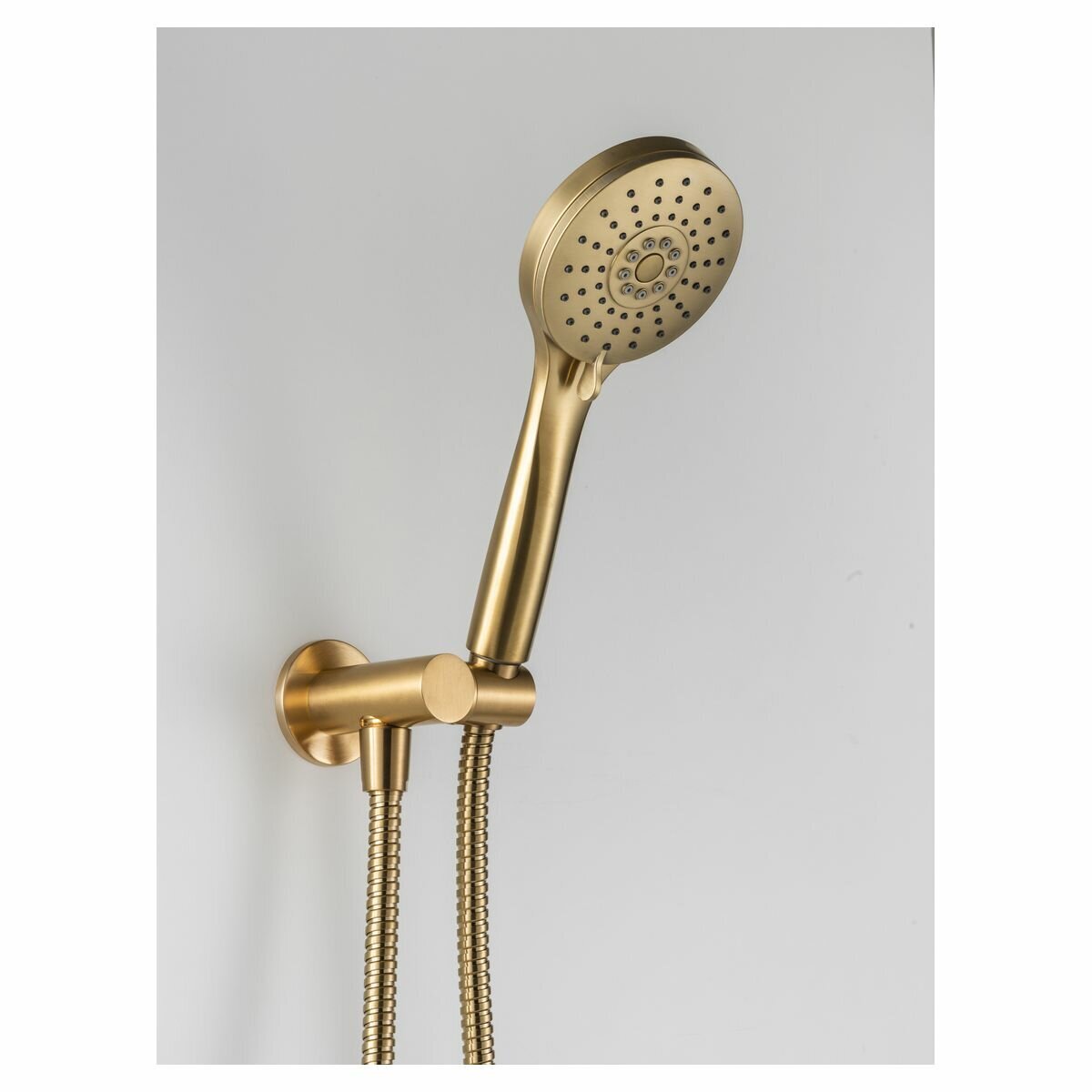 Rogerseller Tonic Hand Shower on Integrated Union - Brushed Gold - 3 Star Water Rating - 3506003214