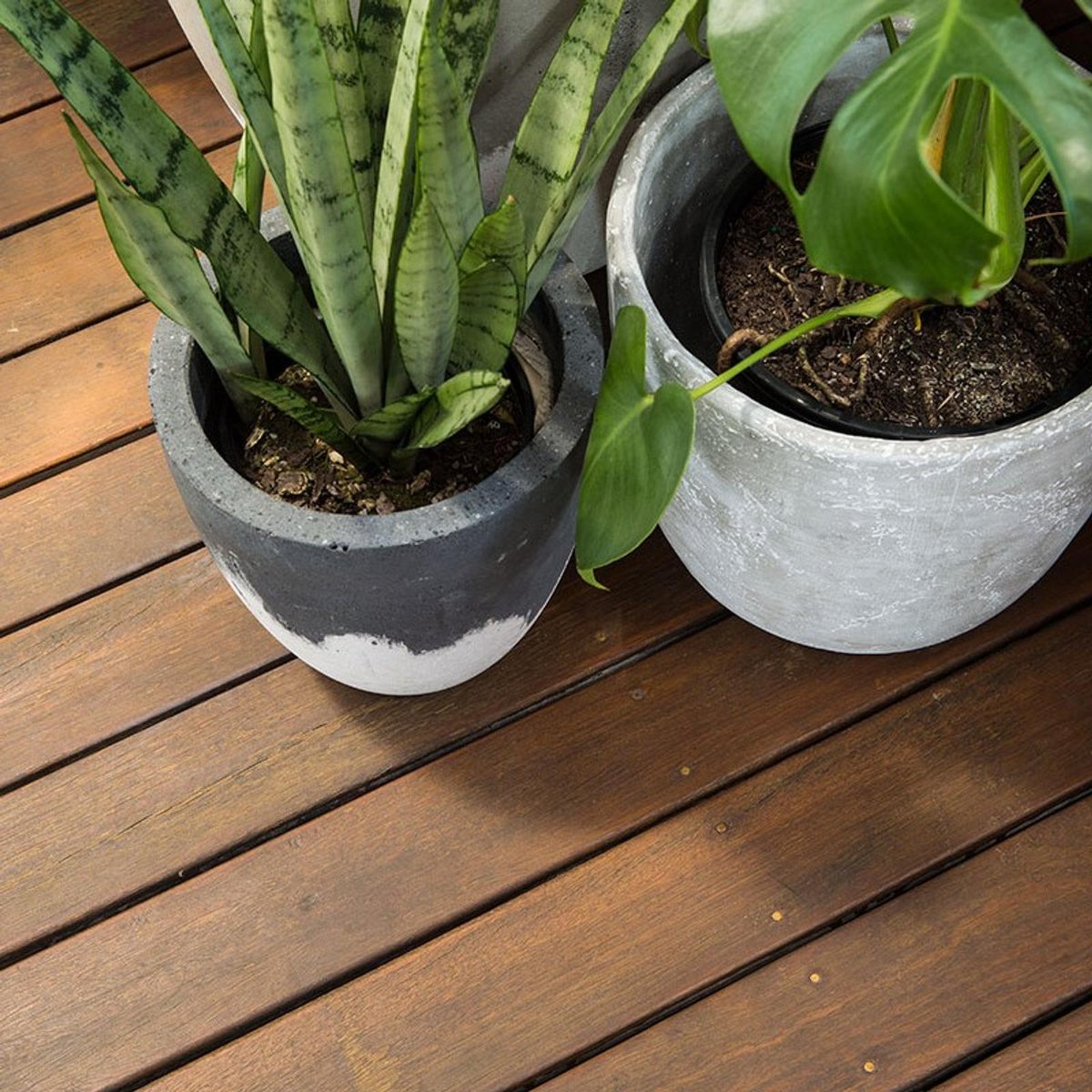 Feast Watson 1L Natural Matt Look Water Based Decking Oil, UV Resistant