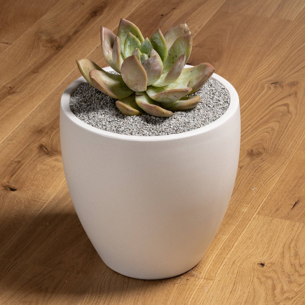 Tuscan Path 2kg 4-6mm Mini French Grey Decorative Pebble