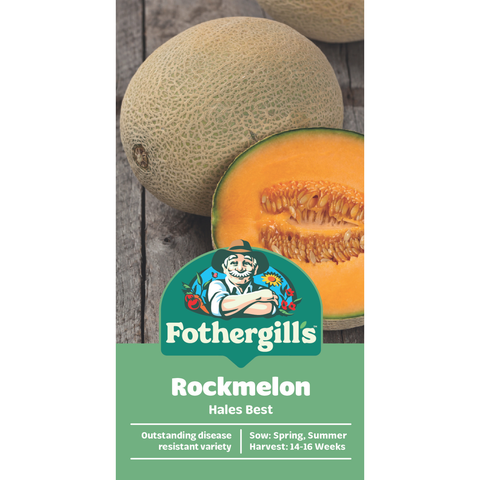 Mr Fothergill's Hales Best Rock Melon Seeds - Sweet Powdery Mildew-Resistant Variety