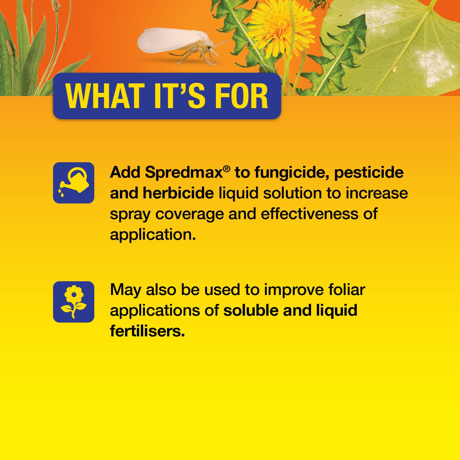 Searles Spredmax Liquid Wetting Agent Concentrate 200ml