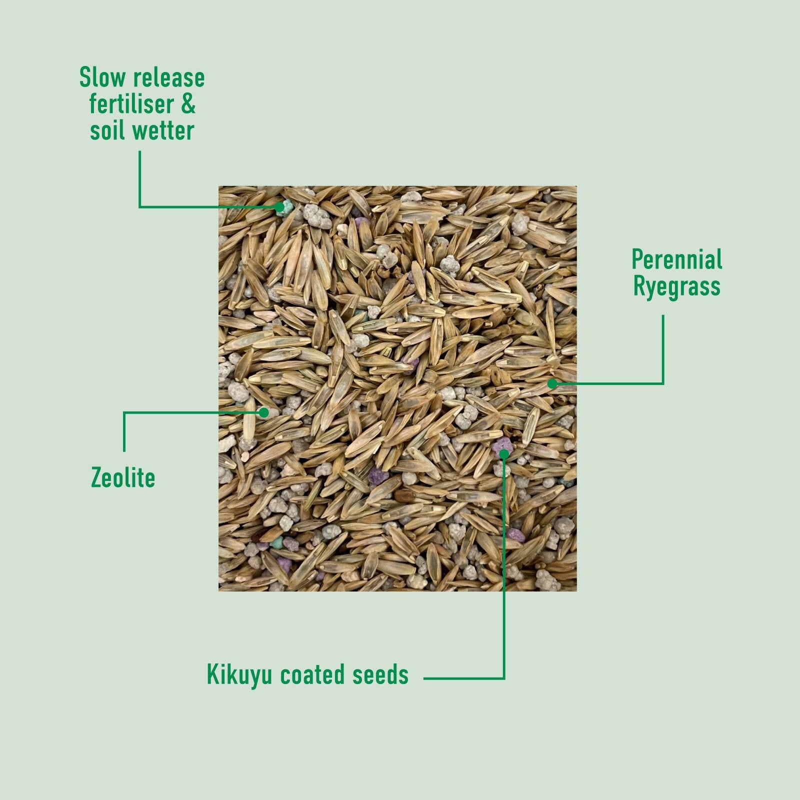 Munns Professional 2.5kg Kikuyu Lawn Seed Blend Drought Tolerant