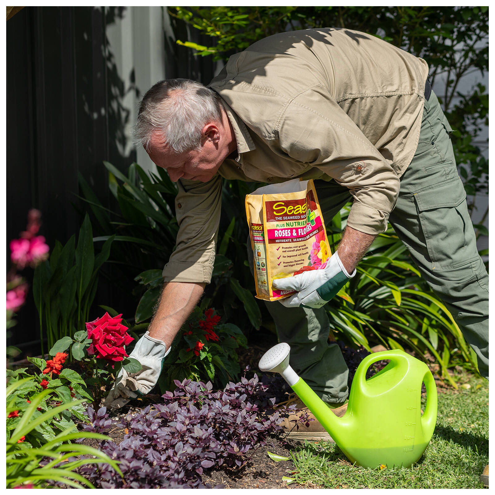 Seasol Plus Nutrients Roses & Flowers 2.5kg Granular Time-Release Fertiliser