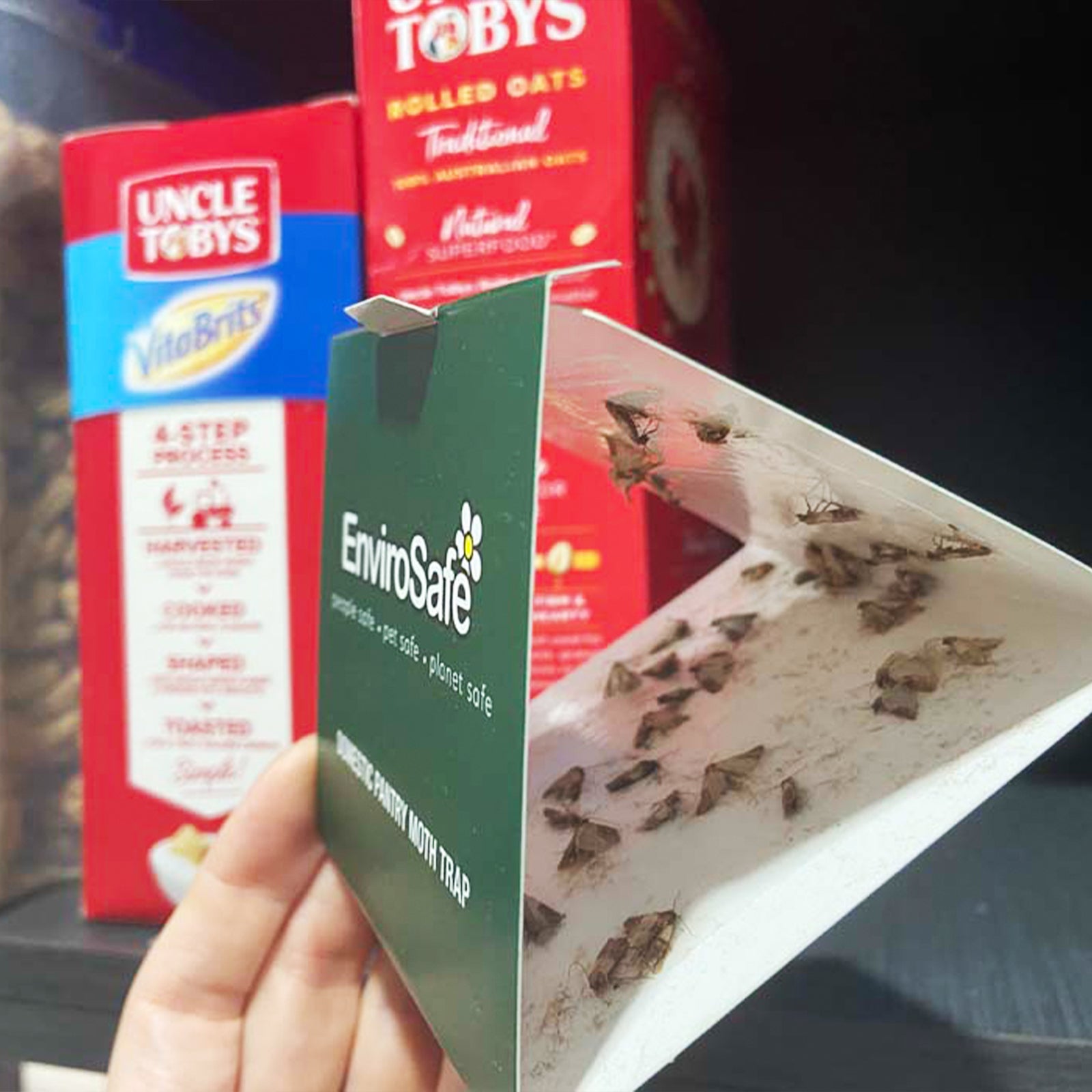 EnviroSafe Domestic Pantry Moth Trap 2 Pack
