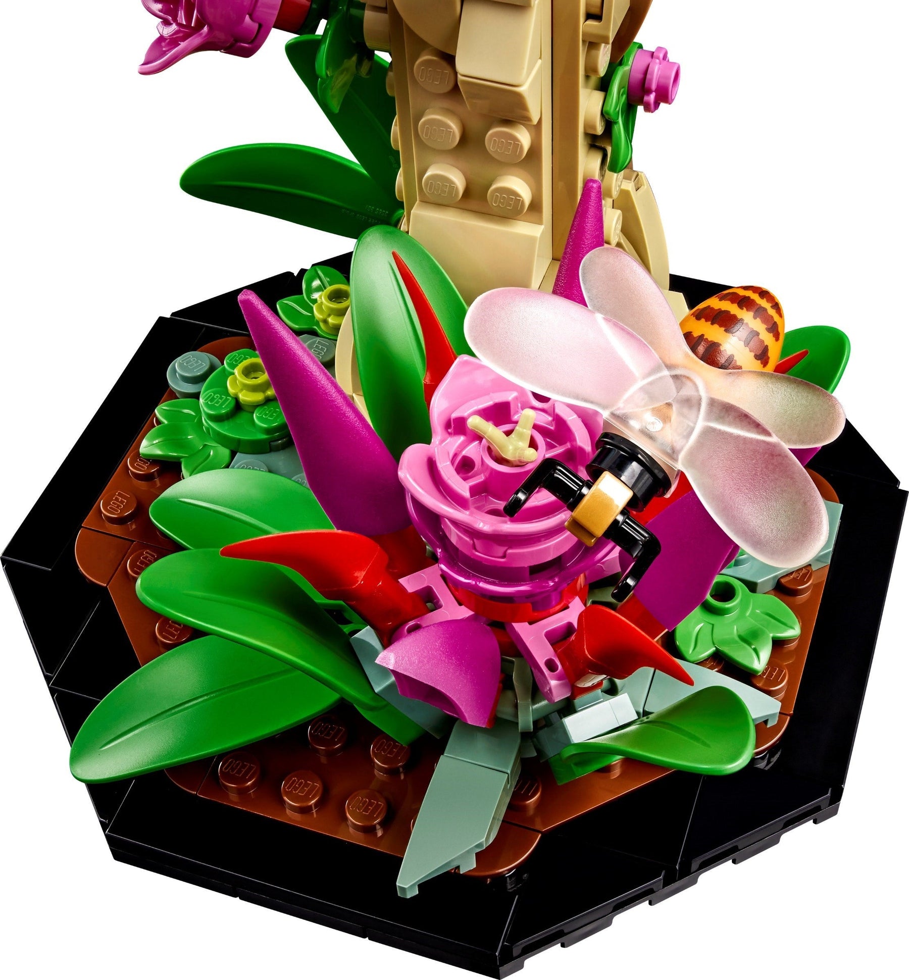LEGO Ideas Series 21342 The Insect Collection- Auzzi Store