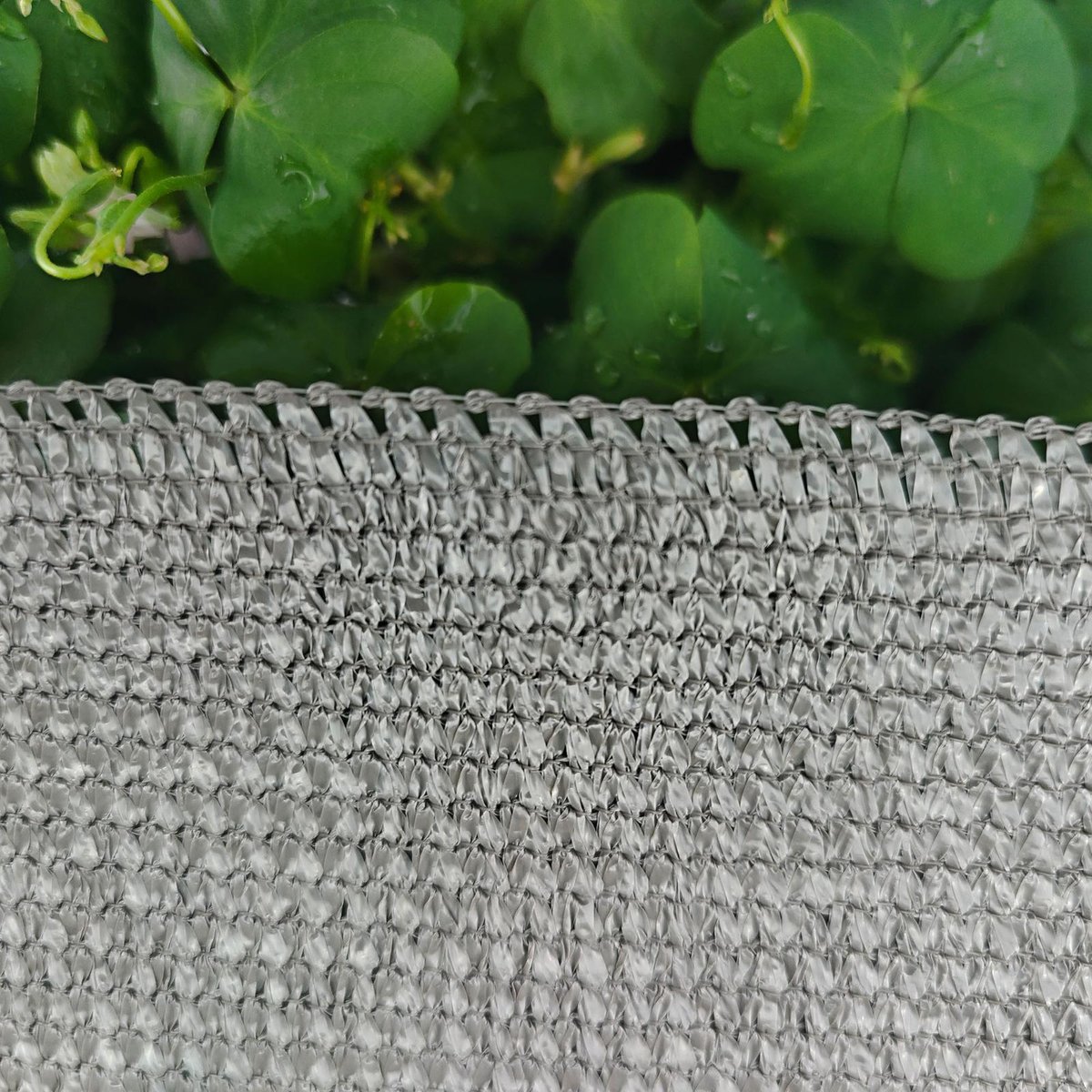 Pillar 1 Shade Cloth - 83 x 5m - Woodland Grey - HDPE - 70% UV Protection - SuperSaverAU - view 3