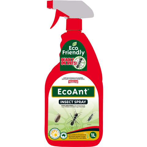 Multicrop 1L EcoAnt Insect Spray for Ants, Earwigs, Slaters & Leafhoppers, Indoor & Outdoor